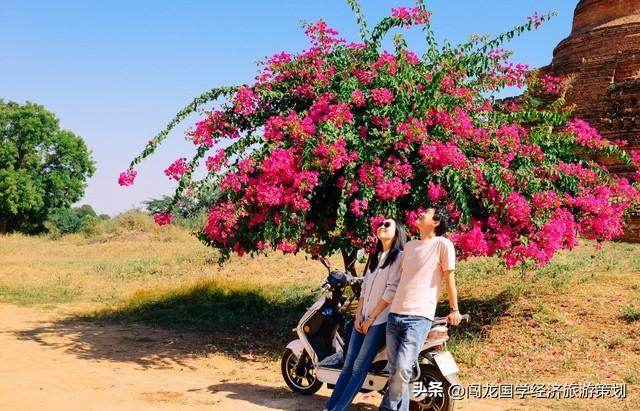 电动车加帐篷旅游新时代的风口