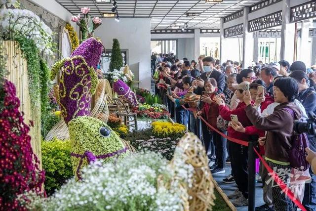 不愧是顶流！一大早就红了，人挤人持续好多天！萧山人家门口也有······