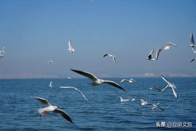 昆明十七公里外，藏着一个可以看“海”的白族村