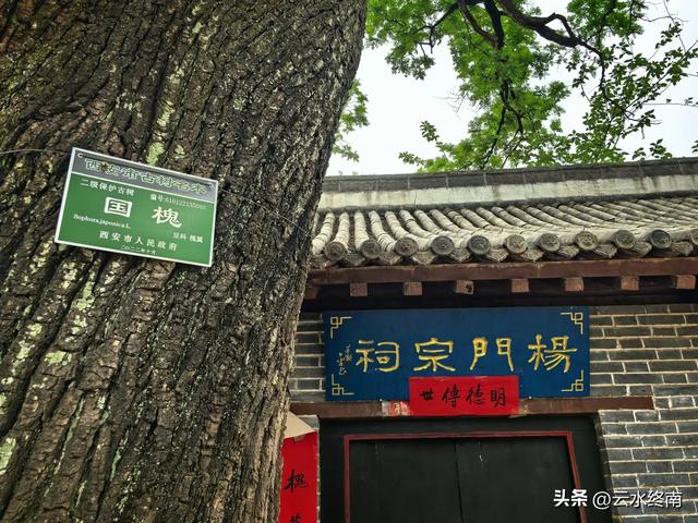 蓝田这村子人才济济，当朝正三品官员都不算啥，有传承就是不一样