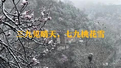 1月8号入三九	，今年三九不一般，60年一遇，3大特点	，早看早知道