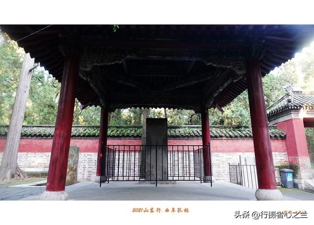 山东行游影记（228）—曲阜孔林（四）