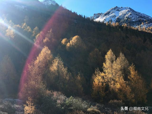 #阿坝头条#理小路，有人称之为川西的独库公路