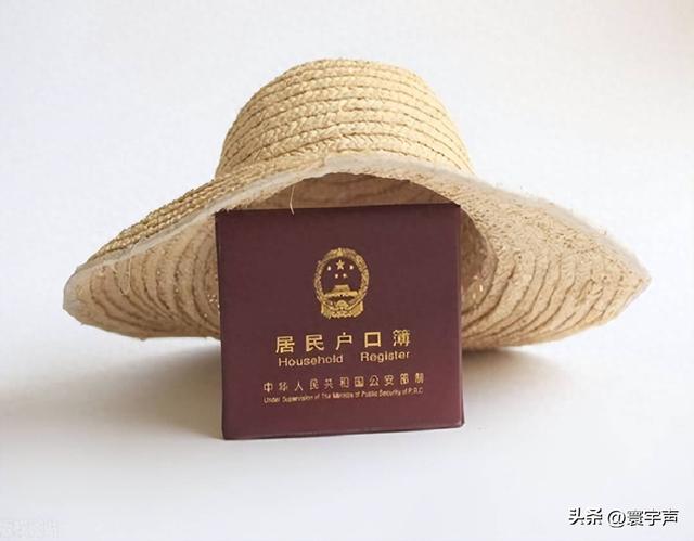 农村户口不再 “想迁就迁	”，农耕文明现代化路上，乡村振兴咋破局