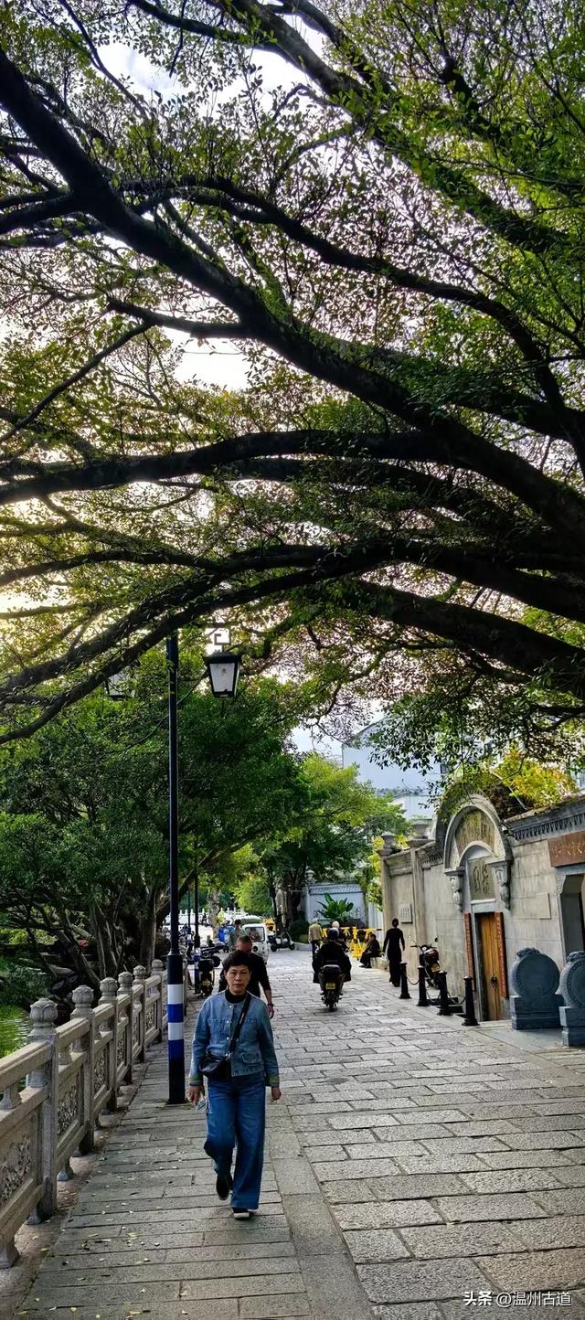 温州市区这条充满历史底蕴的古街道，文化遗迹众多，值得你来逛逛
