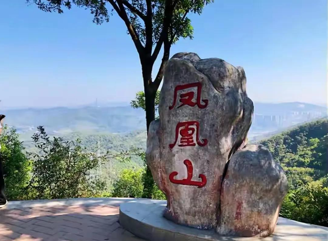 男子景区坠崖身亡新后续，目击者：他脚没勾住掉下去了！律师发声