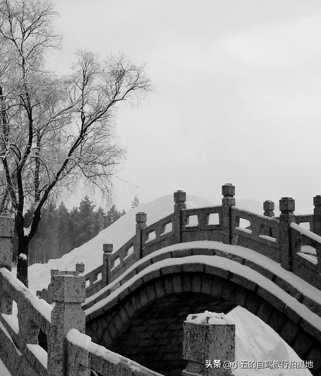 警告！这份杭州攻略太狠了！保姆级打卡指南，本地人都直呼内行！