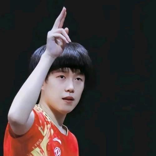 其实，我们都 “错怪” 林诗栋了！