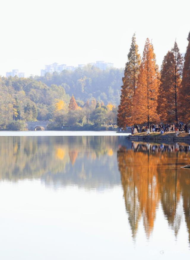 冬日暖阳下，打卡贵阳观山湖公园的绝美风景