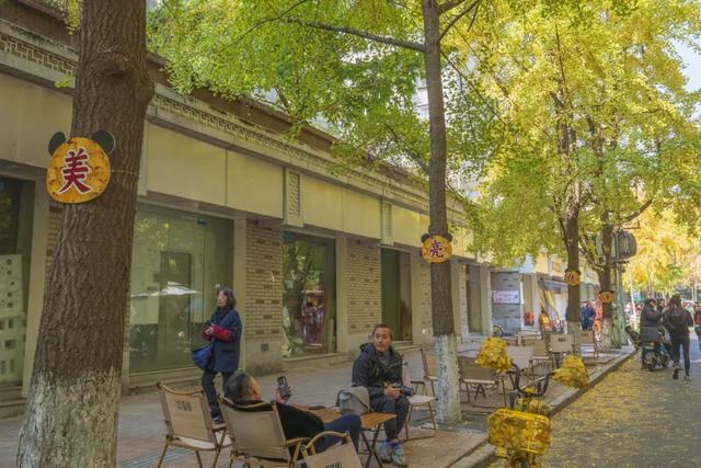 这个周末来银杏路,百张骑行卡免费送!