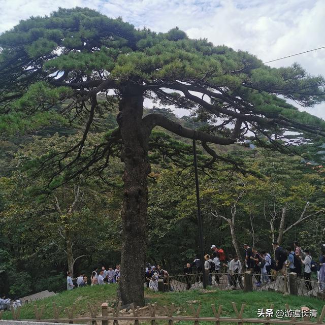 &062.黄山四日游（一）