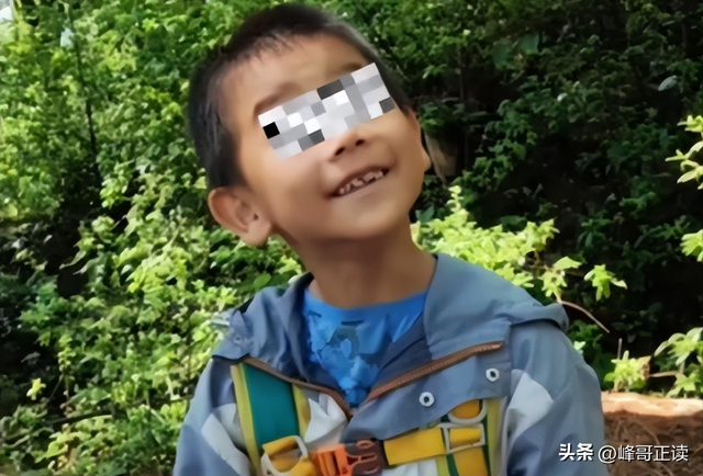 苍山自闭症男孩失联已3天：恶心一幕出现，更多人被无端质疑！