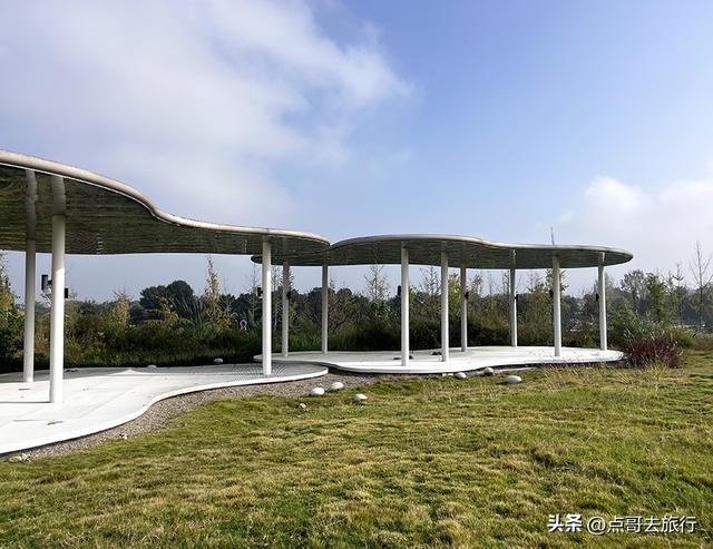 成都被冷落的彩林公园，惊艳无比，不要门票，地铁公交车直达！