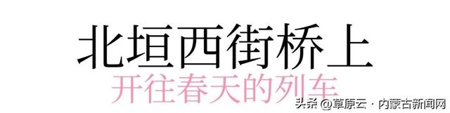 呼和浩特赏花攻略：最佳地点+公交出行指南