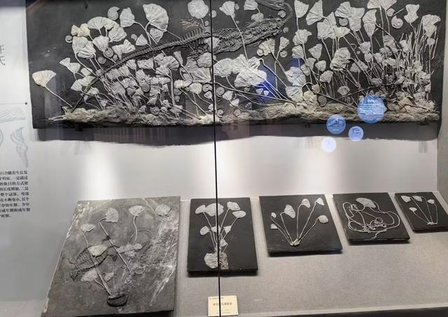 比南京更“明”的小城，就藏在贵州