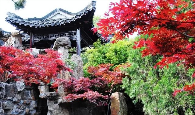 高铁1h！比西安秀美！这座千年古都秋色绝了！高光仅20天！