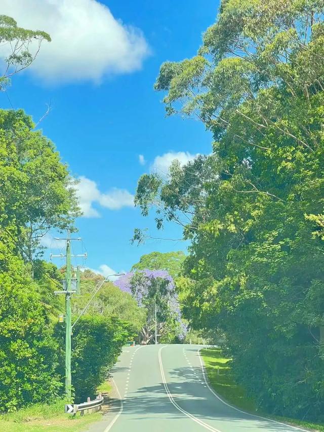 路上·布里斯班 ‖ 又出来赚小时来了