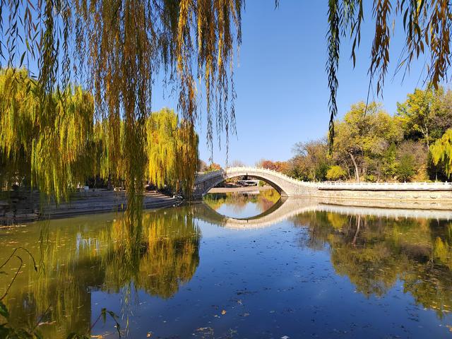 初冬，石家庄裕西公园落叶飘飘！