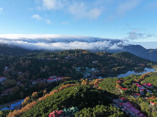 云瀑倾泻梧叶黄：庐山秋景缤纷奇