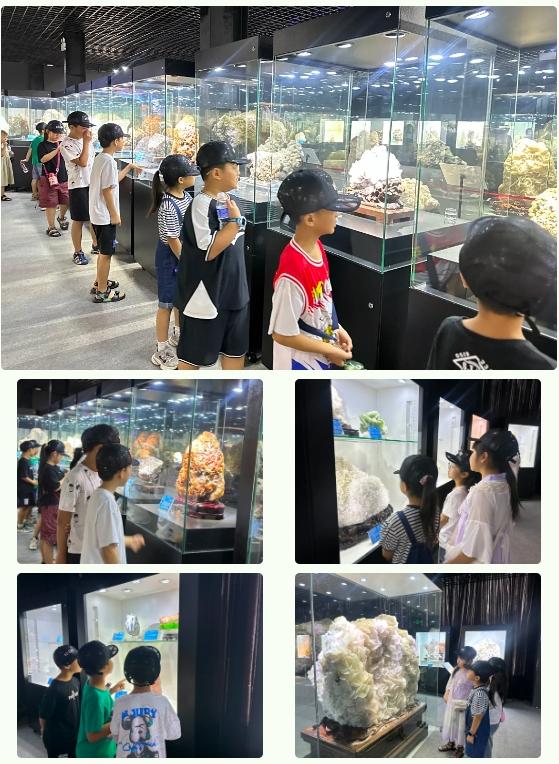 在博物馆里读“世界”——鸿元职工亲子同乐研学活动