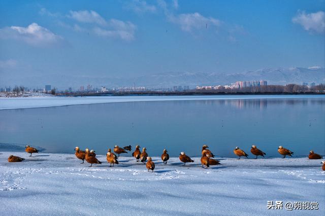 朔城区，大好河山谁建设