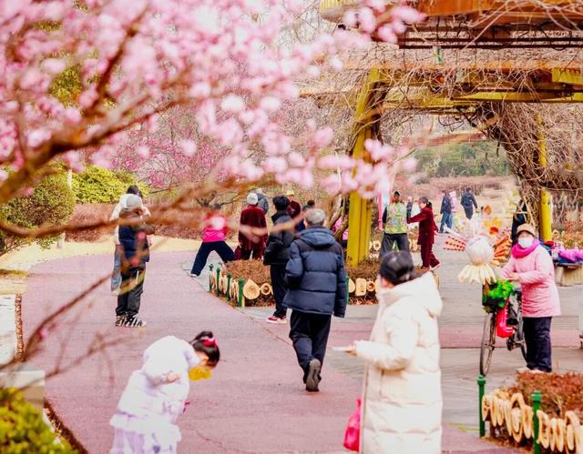 即将进入颜值巅峰！就在日照这些地方！