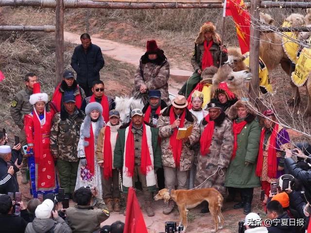 重走丝路！驼铃声声穿越千年，新疆东天山驼队固原再出发