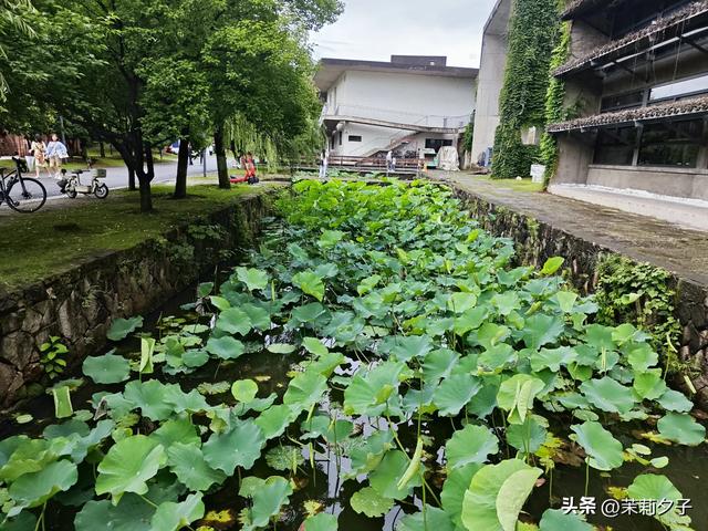 杭州旅游攻略看展逛博物馆老街菜市场换个城市走走停停文艺风