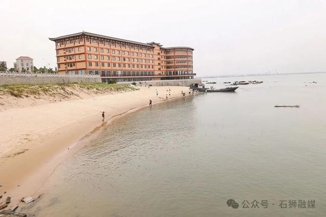石狮消暑抢“滩”攻略