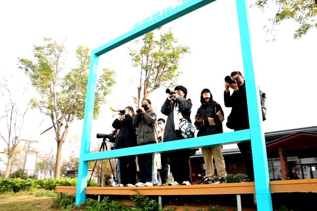 初冬限定！观鸟、彩叶、遛娃一站式，承包全家 “零负担” 快乐