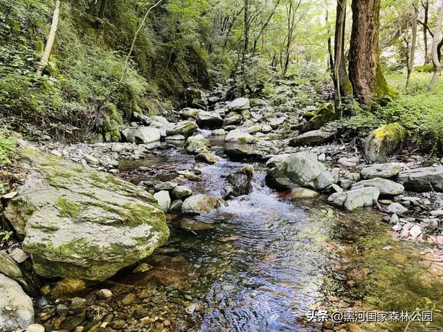 西安山美水美的清凉秘境！夏天来黑河避暑旅游太爽了！