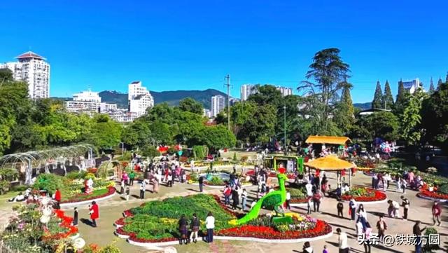 菊香满邵武！第二十届菊花艺术展惊艳绽放，邀你共赏秋韵