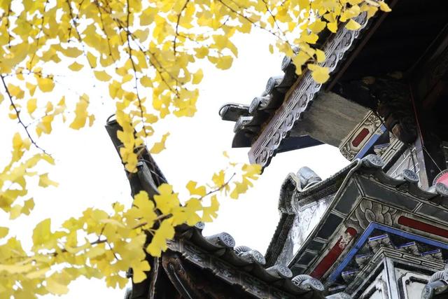 大理古城“金”彩上线！