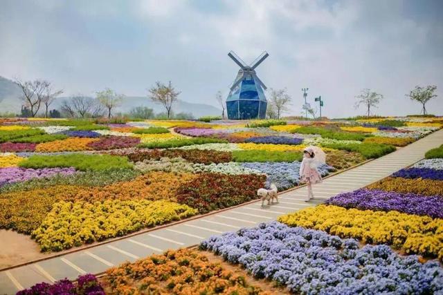 叮铃铃~上课啦！开学第一课，不在教室在金坛茅山！