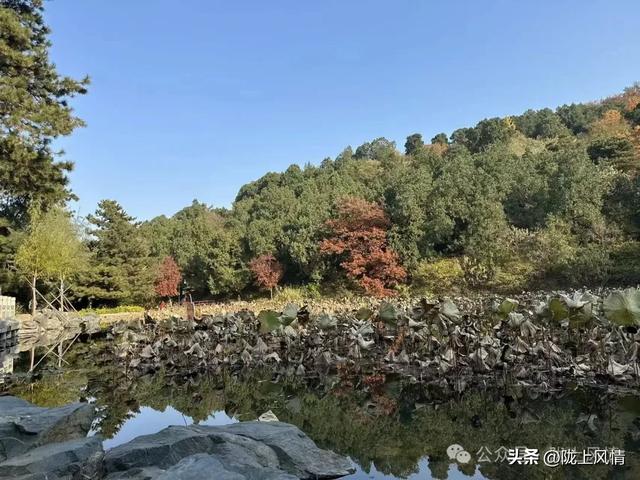 暖冬香山记（萧毅）