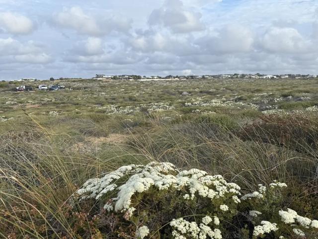 澳大利亚22日世界文化遗产与自然之旅游记