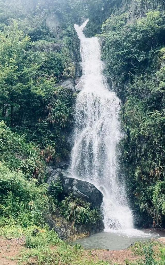 富阳这个“太极村”，出名了！每年吸引大量游客！