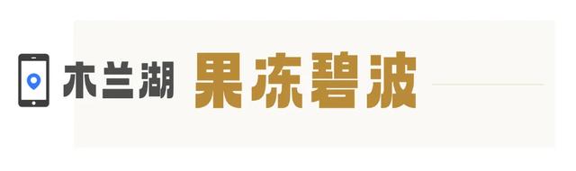 武汉版“小川藏”！黄陂8条绝美自驾线来啦