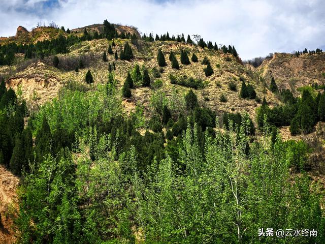 这个清明，我到山西，给这些陕西楞娃上了三炷香