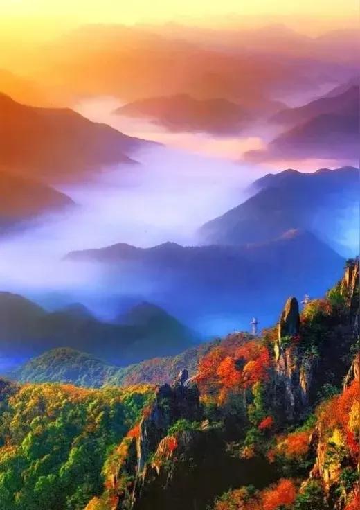 干净漂亮的手机壁纸