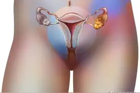 女人，一辈子最多能怀孕多少次？图片