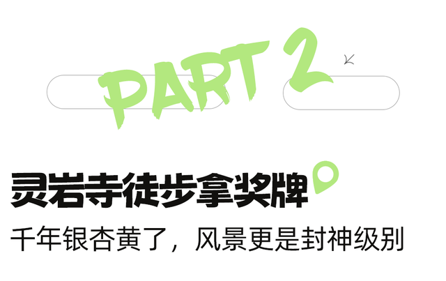 黄了！彩了！1h刹拢成都最近赏秋地，徒步拿奖牌、邂逅古寺银杏！老街美食好吃惨！