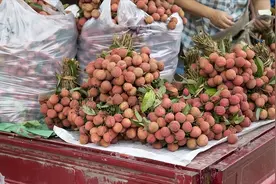6月荔枝大量上市，为何买的人却很少？老果农：5个原因很现实图片