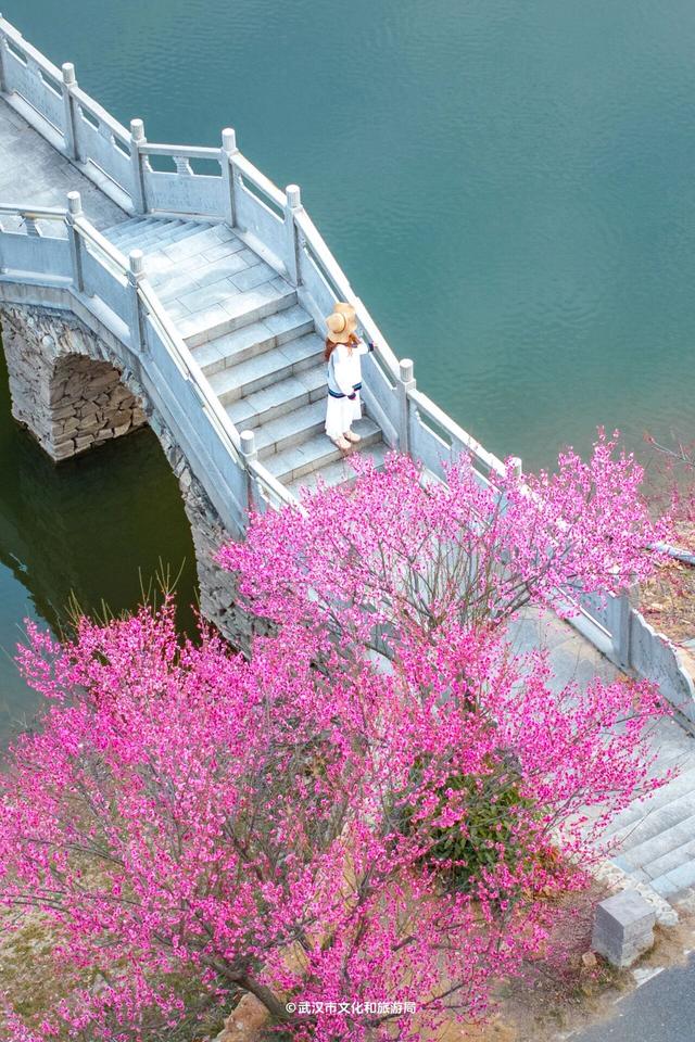 🤩收藏！春节拍大片，就来黄陂『下集』