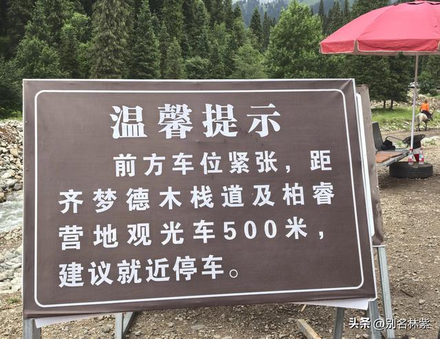 解锁库尔德宁，新疆伊犁的“天然氧吧”，60元门票太值了（6）