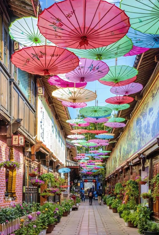 装下半球惊奇！云南的七大维度，知道3个算你牛！