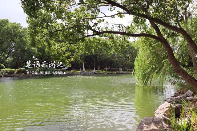 宁波镇海居然藏着一个小苏州园林，绿树掩映着亭台楼阁，值得游玩