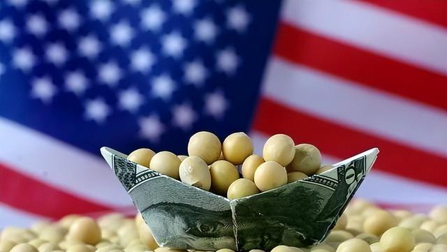 特朗普功败垂成，8千万吨大豆中国不收，美也不敢让关税重回3位数