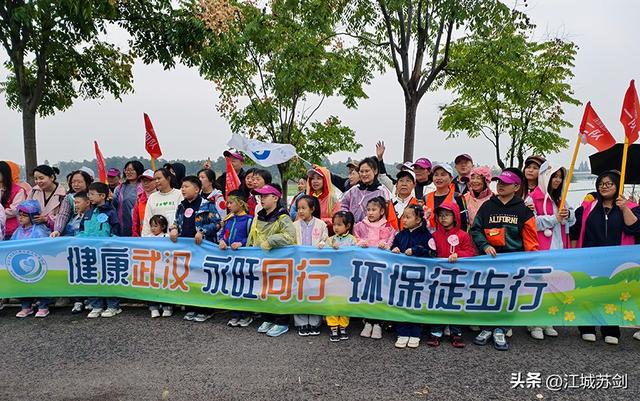 徒步为笔，湿地为卷！武汉亲子共绘“环保+健康”绿色图景