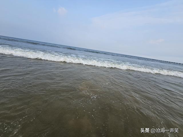 大海的世界，有童话有嬉戏，有欢笑有乐趣，有津津乐道、海阔天空